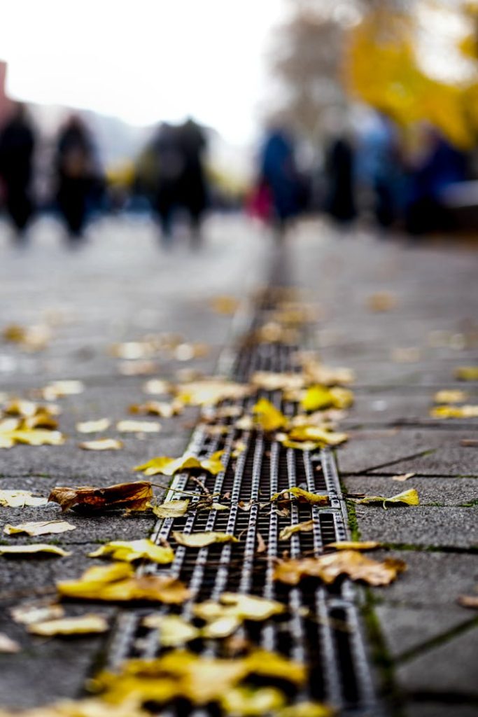 Autumn Leaves on Drainage in Sidewalk